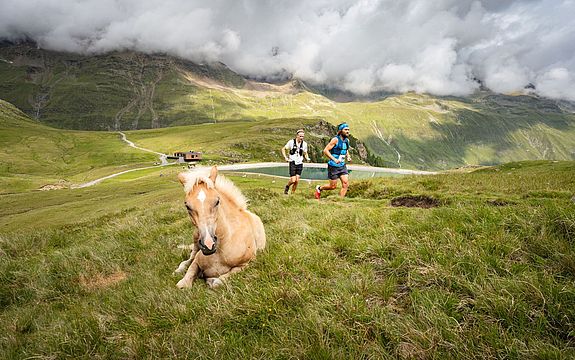 Schönwieshütte-Gurgl-Gletscher-Trailrun